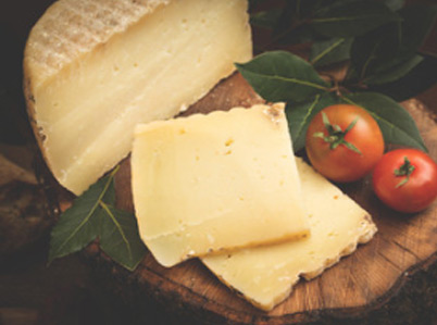 Pecorino