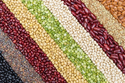 Multicolor dried legumes for background, Different dry bean for eating healthy